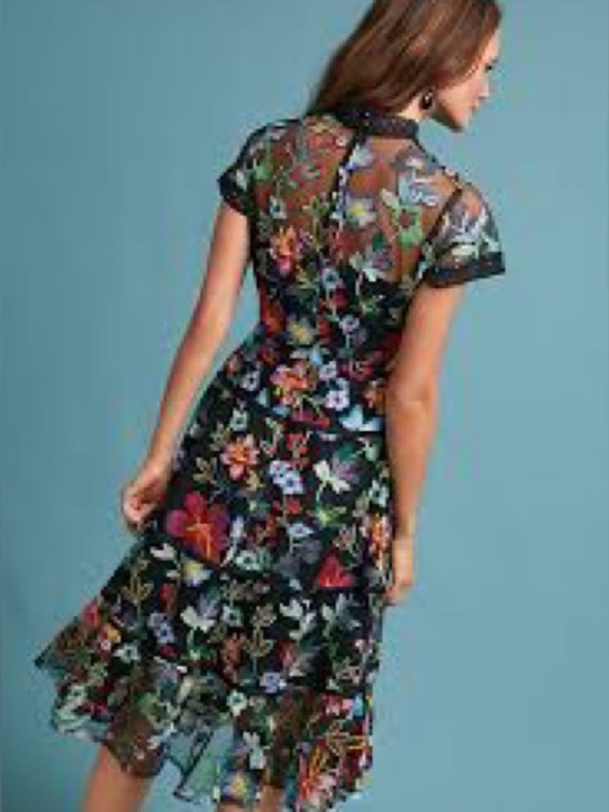 Anthropologie Dresses & Skirts - Anthropologie Janine Embroidered Dress features a high neck, sheer cap sleeves 6
